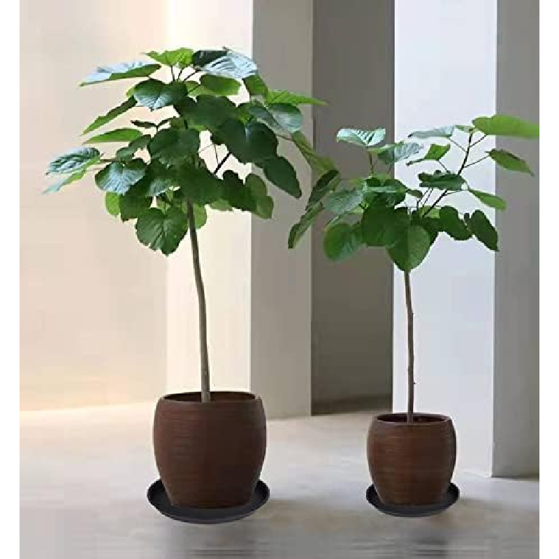 4Pcs Heavy Duty Plastic Plant  - Drip Tray Saucer recension och pris